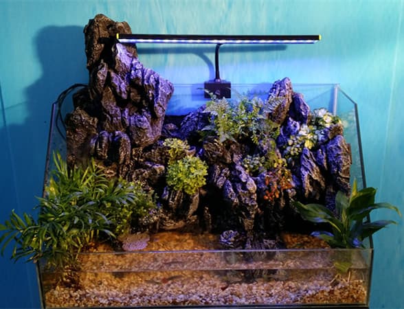 aquatic landscape fish tank aquarium decoration